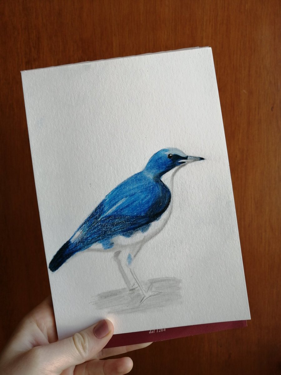 ortizgmariana's tweet photo. Day 2

Aaaaamo los pájaros, especialmente los de colores, hoy tocó azul 💙

#FavoriteThingsdrawingchallenge https://t.co/6Z3Y3OfL16
