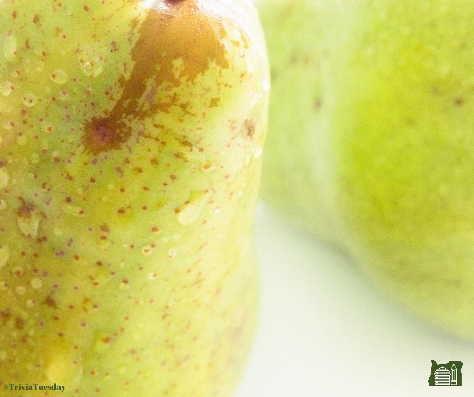 Ready for their close up! What tasty Oregon grown fruit is featured in this weeks #TriviaTuesday?!