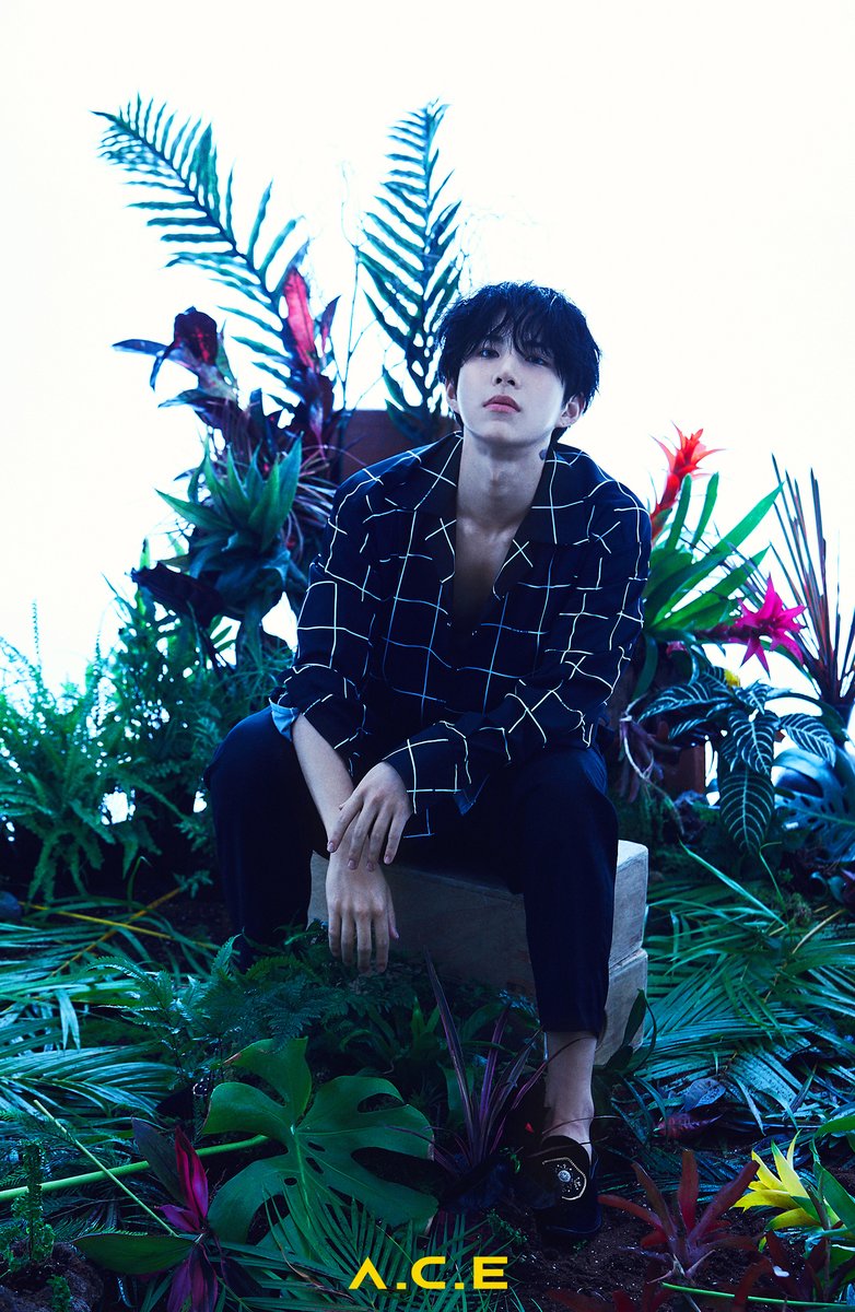 official_ACE7's tweet photo. [#ACE_COMEBACK]
胡蝶之夢 (호접지몽)
HJZM:The Butterfly Phantasy
• 도깨비 (Favorite Boys)
2020.09.02 PM06:00 (KST)

CONCEPT PHOTO 1 (UNIT 1)

夢, Phantasy

#에이스 #와우 #ACE #WOW  
#🦋 #COMEBACK https://t.co/hFs4RDn1Vs