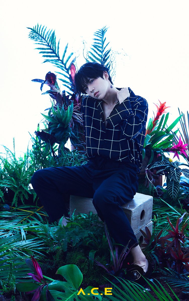 official_ACE7's tweet photo. [#ACE_COMEBACK]
胡蝶之夢 (호접지몽)
HJZM:The Butterfly Phantasy
• 도깨비 (Favorite Boys)
2020.09.02 PM06:00 (KST)

CONCEPT PHOTO 1 (UNIT 1)

夢, Phantasy

#에이스 #와우 #ACE #WOW  
#🦋 #COMEBACK https://t.co/hFs4RDn1Vs