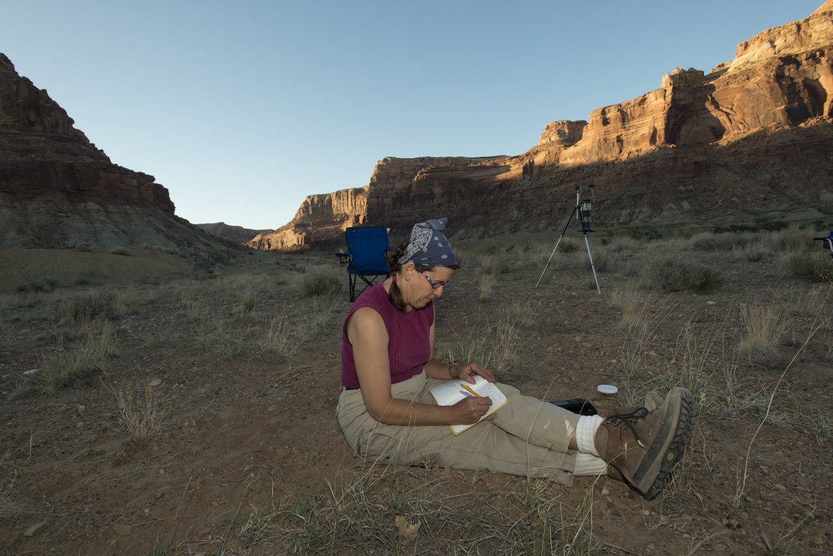 DenverMuseumNS's tweet photo. Join our #ScienceDivision Facebook Watch Party today at 12pm with arachnology expert, Dr. Paula Cushing! As the curator of invertebrate zoology at the Museum, Dr. Cushing’s research focuses on arachnids, a class of eight-legged animals that includes daddy longlegs, and scorpions. https://t.co/abOdif2xm7