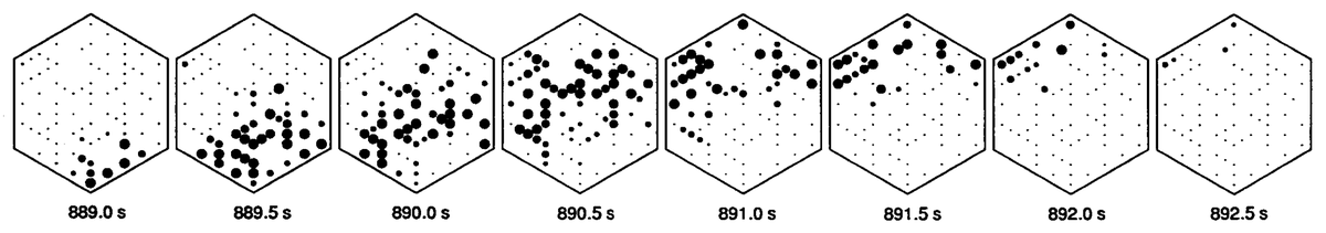 Later in prenatal development (or early postnatal development in mice/ferrets), retintopy is progressively refined by waves of spontaneous activity that originate in the retina and propagate throughout the developing visual system  https://doi.org/10.1126/science.2035024