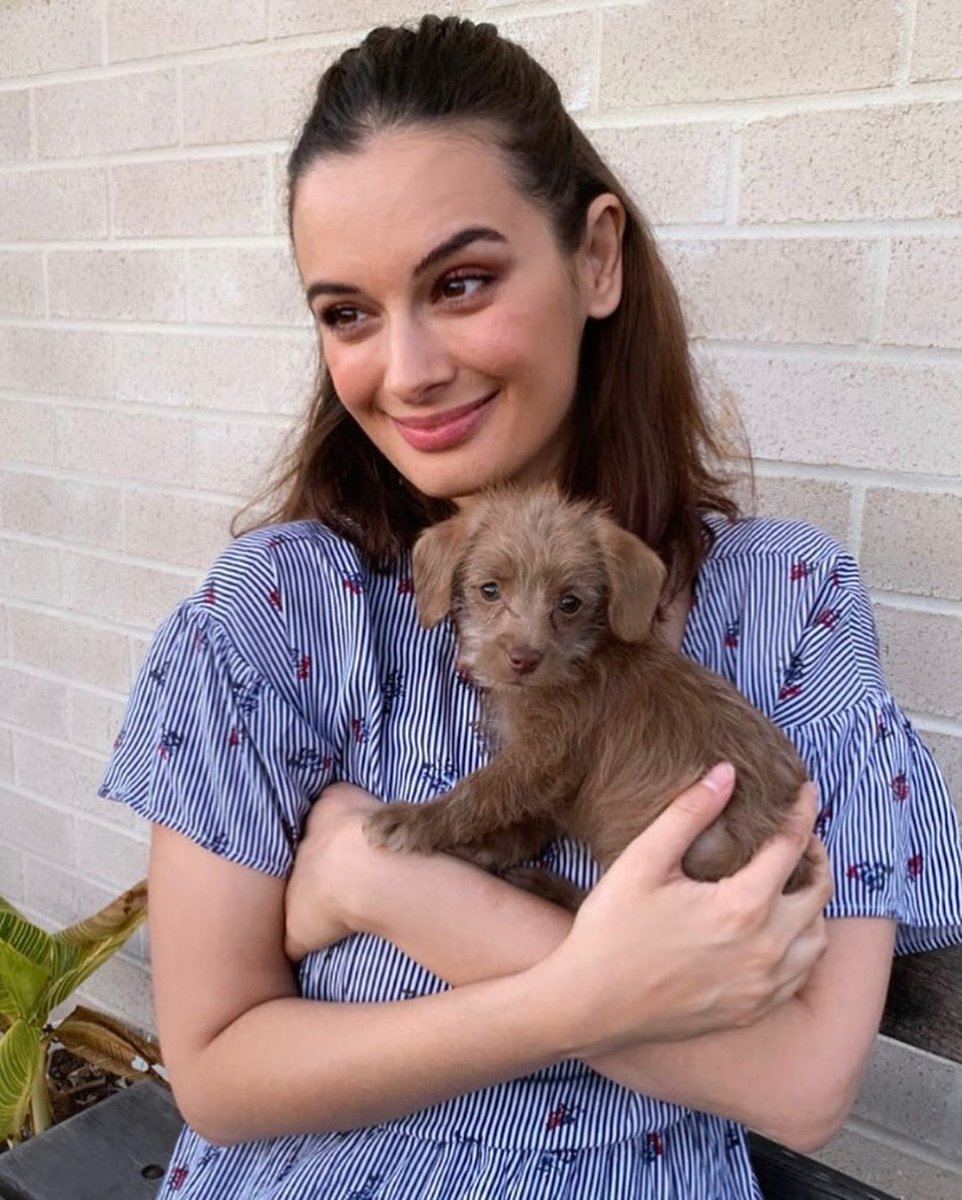 Here’s introducing @cocoellisharmabhindi latest addition to the <a href="/evelyn_sharma/">Evelyn Sharma</a> family! She is #dachshund #poodle mix! A #doxiepoo ❤️

#evelynsharma #cute #loveinthetimeofcorona #doxiepoosofinstagram