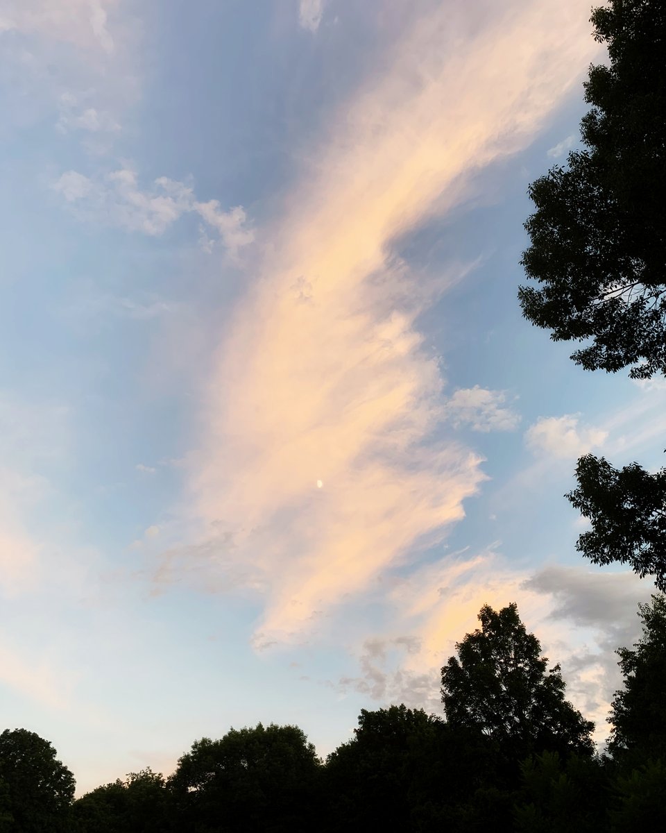 Questioner: "How are we to treat others?"
Ramana Maharshi: "There are no others."