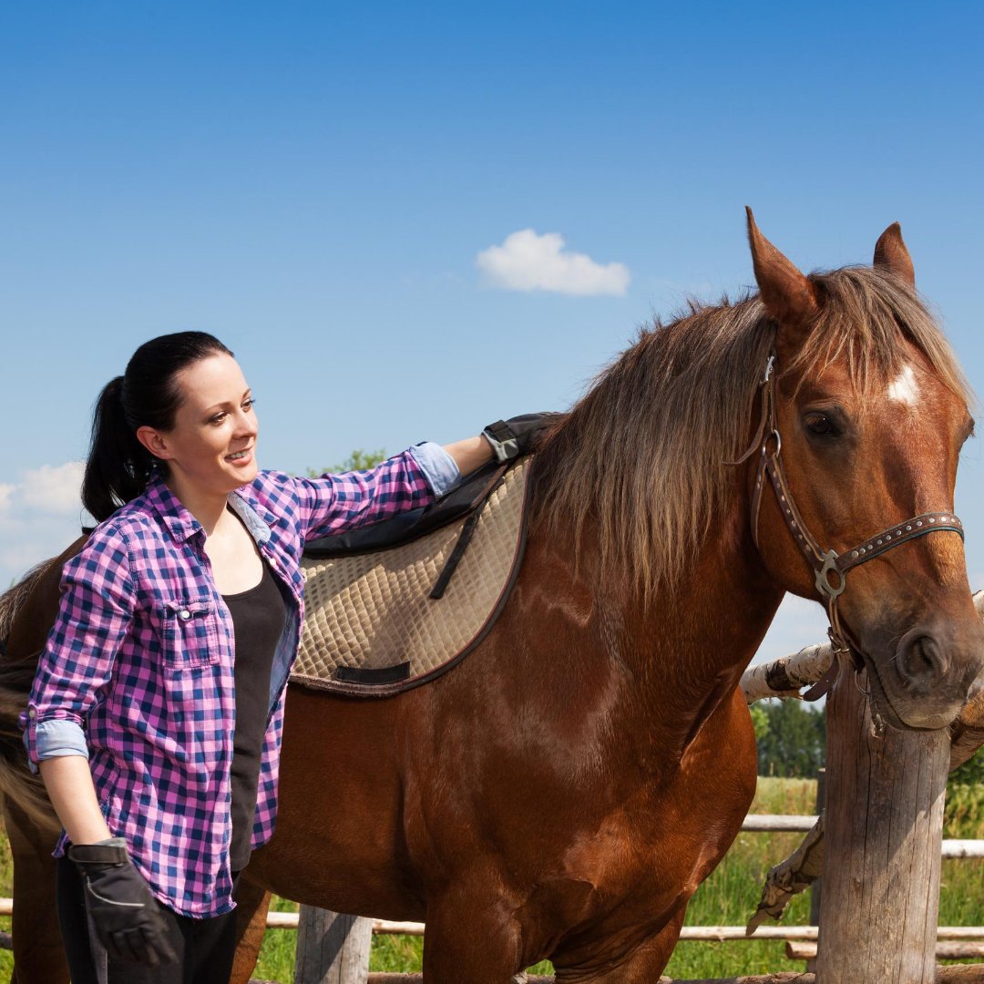 Help your horse to feel more comfortable in his/her back. Find out what complementary therapies can help: ow.ly/lMea50AUOvQ
#ponyhour