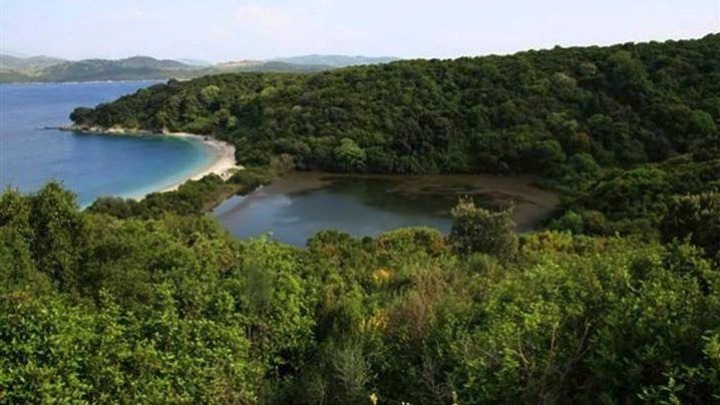 amna_newseng's tweet photo. #Kassiopi Project investor issues statement on fire in #Erimitis, #Corfu
https://t.co/a0SHVlQwcD
#NCHCapital https://t.co/dR3WKUCROH