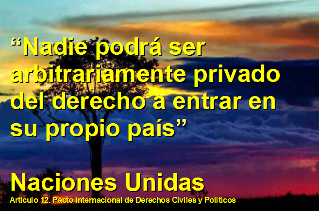 Siquierasemurieronlosabuelos tweet media