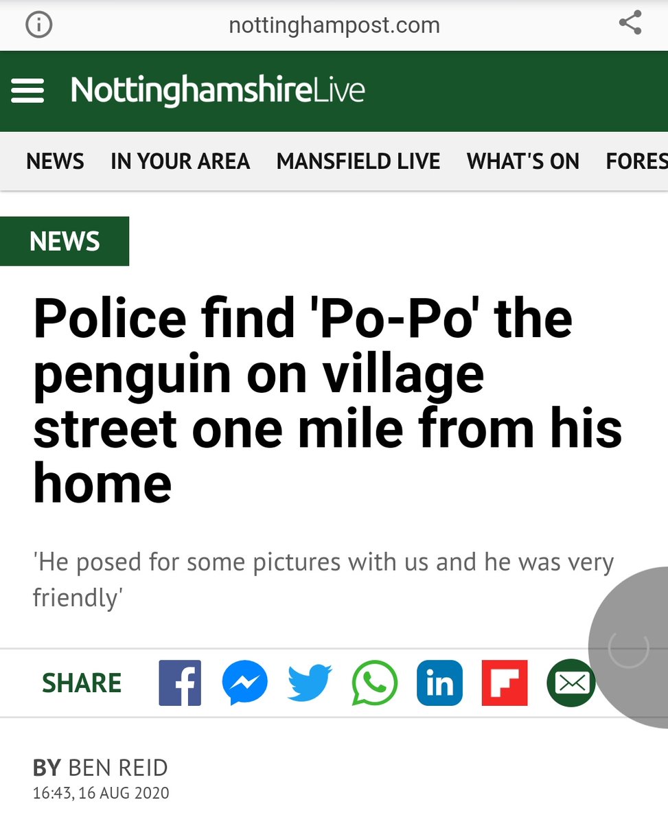 7. P-P-P....Gotham City is cursed with an evil Penguin who ruins lives and runs the police ragged. Same here.