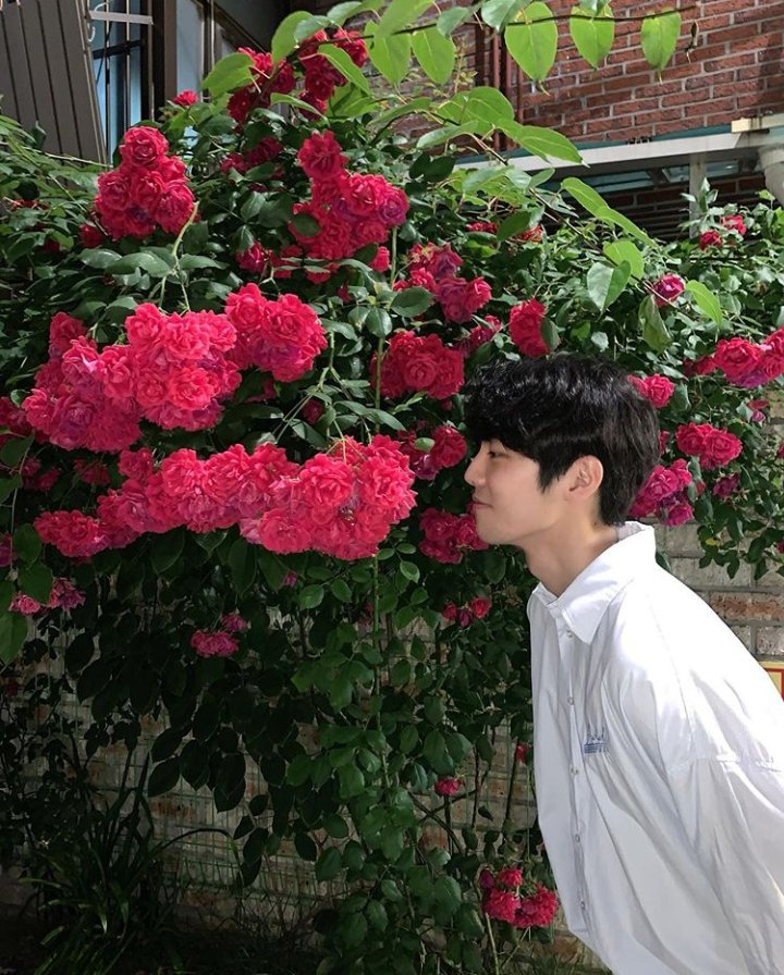 TheRosePhil's tweet photo. [IG]
200818

#Jaehyeong Instagram Update 🌹

Our Blackroses 🥀
#0824 #2020 #Blackrose

https://t.co/60p6NBFIIU

#이재형 #더로즈 #TheRose #LeeJaehyeong https://t.co/8A3Bd7iLRM