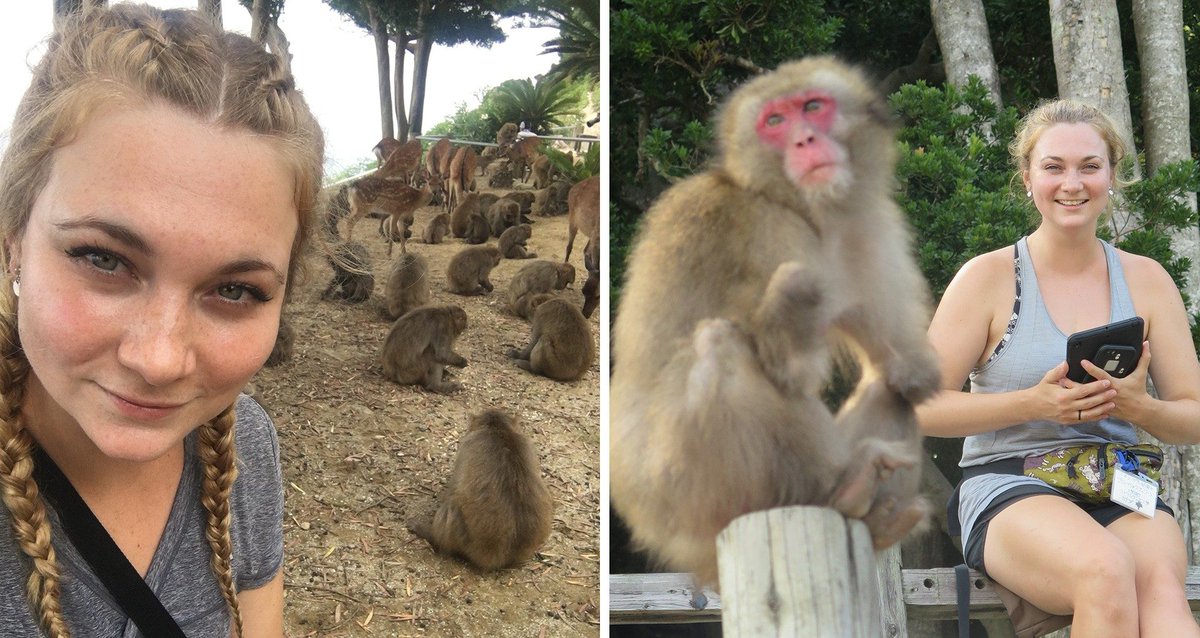 ConcordiaUnews's tweet photo. πππ₯ Student from @GPEConcordia maps global #primate habitat endangered by #ClimateChange. Brogan Stewart demonstrates how territory home to hundreds of species of #monkeys, #apes and #prosimians is being lost due to warming temperatures. β‘οΈ https://t.co/hwbgUCwq6G #cdnsci https://t.co/atmG7ocEWn