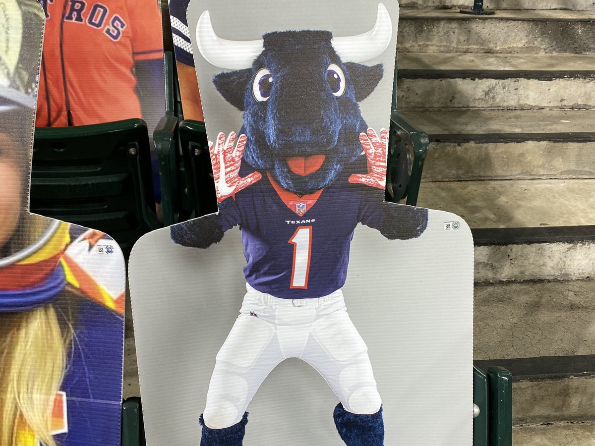 𝙷𝚘𝚞𝚜𝚝𝚘𝚗: More Mascot Madness!