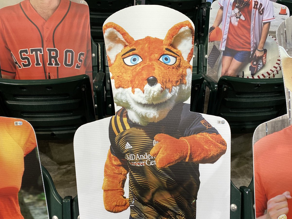 𝙷𝚘𝚞𝚜𝚝𝚘𝚗: More Mascot Madness!