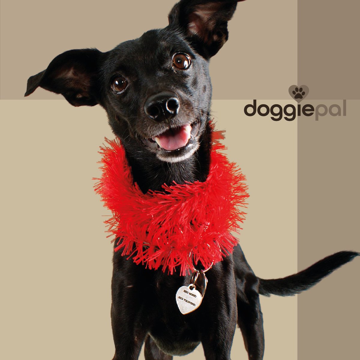  FREE Brand Design Value Day! I'm currently working on a branded niche POD store,which involves LOTS of design work! - I'll share it here Below are two cleverley crafted Social Media image designs: