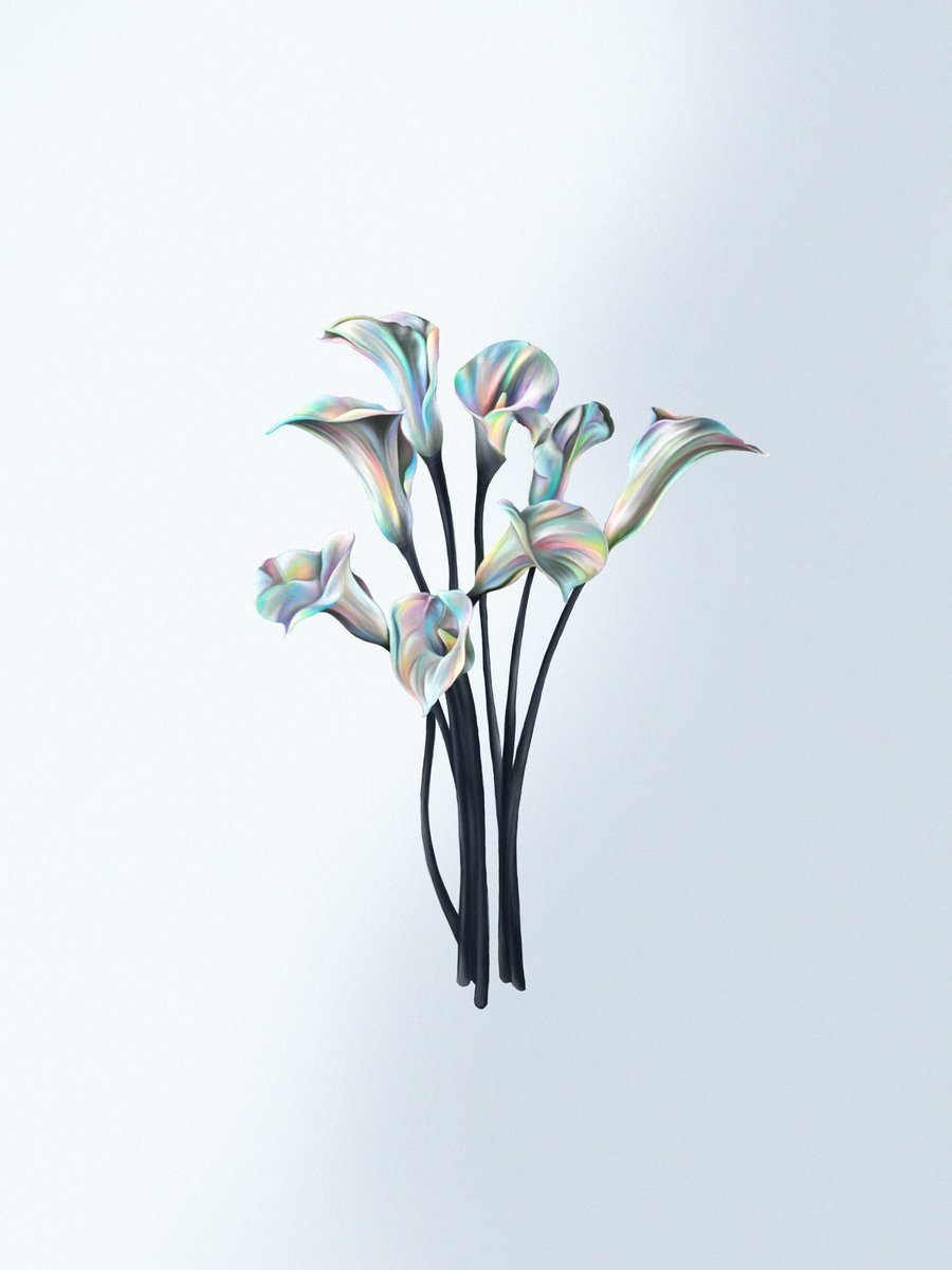 strangers in the lights