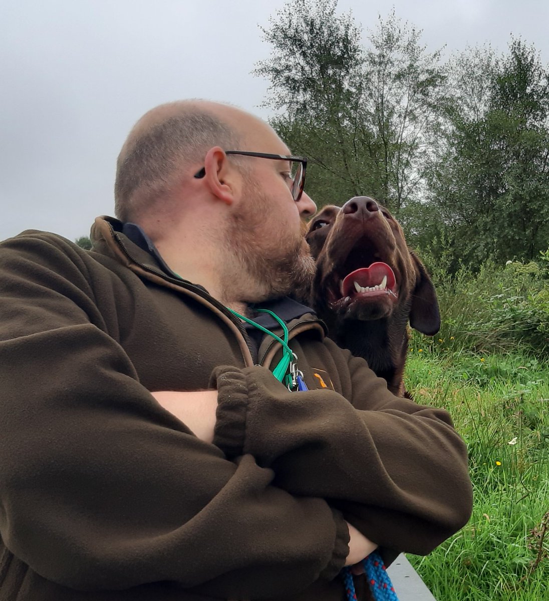 DogTrainingAndy's tweet photo. #TongueOutTuesday #chocolatelabrador #dogsoftwitter #donegaldogs https://t.co/sPIfAHpFgj