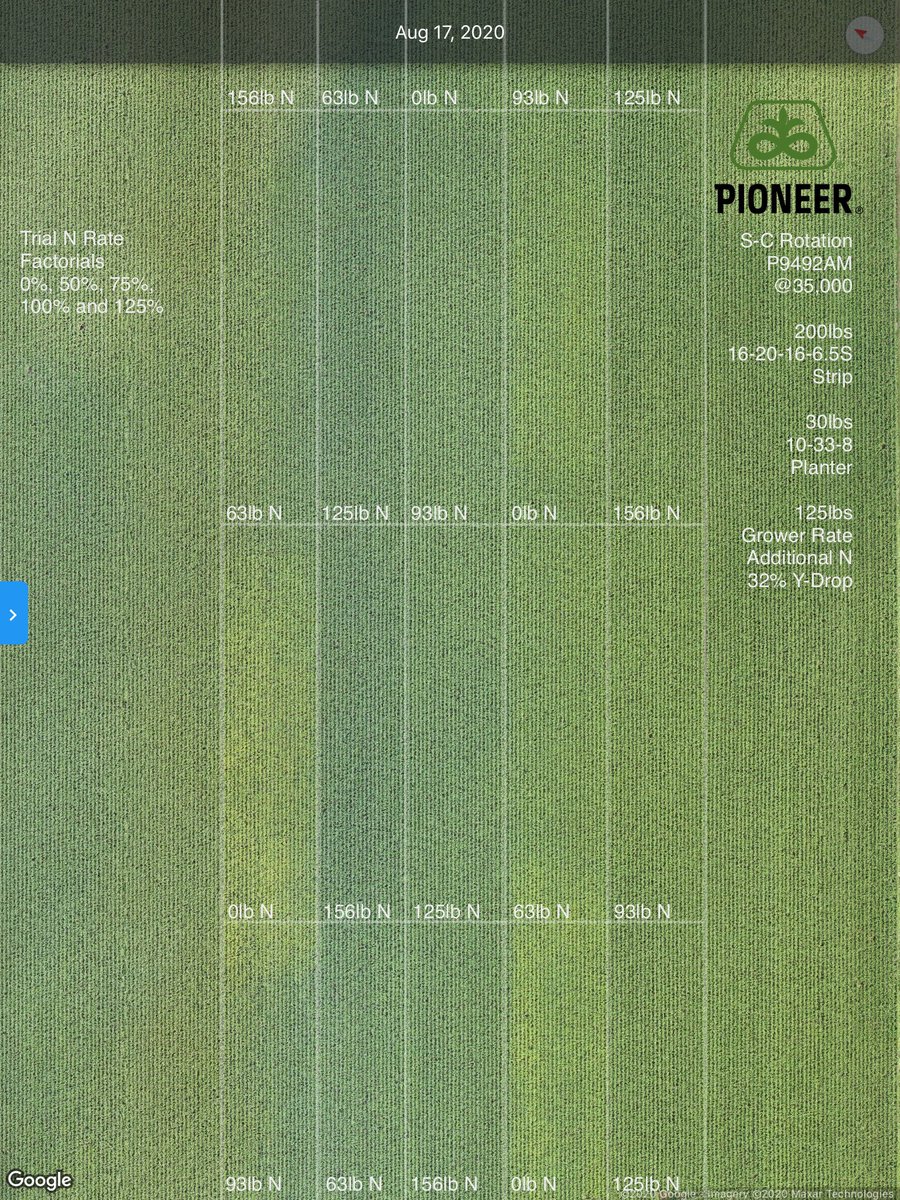 chrisolbach's tweet photo. Nitrogen rate response with extensive soil &amp; weather data. @PioneerSeedsCA and @GranularAg commissioning a study looking at N management options. Anticipate great results shared amongst myself, @phhermans and most importantly the farmers we are working with! https://t.co/9T5ZFbNPfn