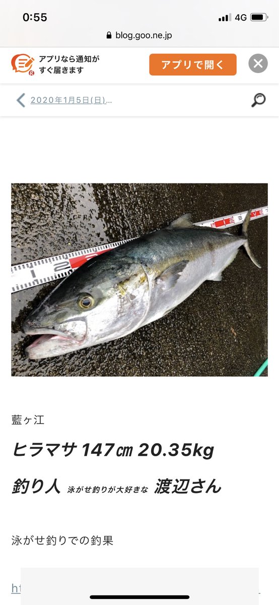 しょうたろうドラムス 八丈島 堤防からキロ越えののヒラマサとかキハダばこばこ釣れてるのやばい カゴ釣りで釣る魚超えてる 笑笑 しょうたろうドラムス 八丈島 堤防からキロ越えののヒラマサとかキハダばこばこ釣れてるのやばい カゴ釣りで釣る魚超えてる 笑笑