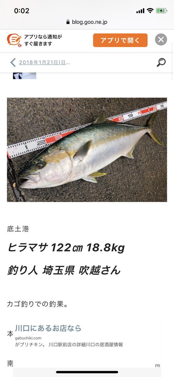 しょうたろうドラムス 八丈島 堤防からキロ越えののヒラマサとかキハダばこばこ釣れてるのやばい カゴ釣りで釣る魚超えてる 笑笑 しょうたろうドラムス 八丈島 堤防からキロ越えののヒラマサとかキハダばこばこ釣れてるのやばい カゴ釣りで釣る魚超えてる 笑笑