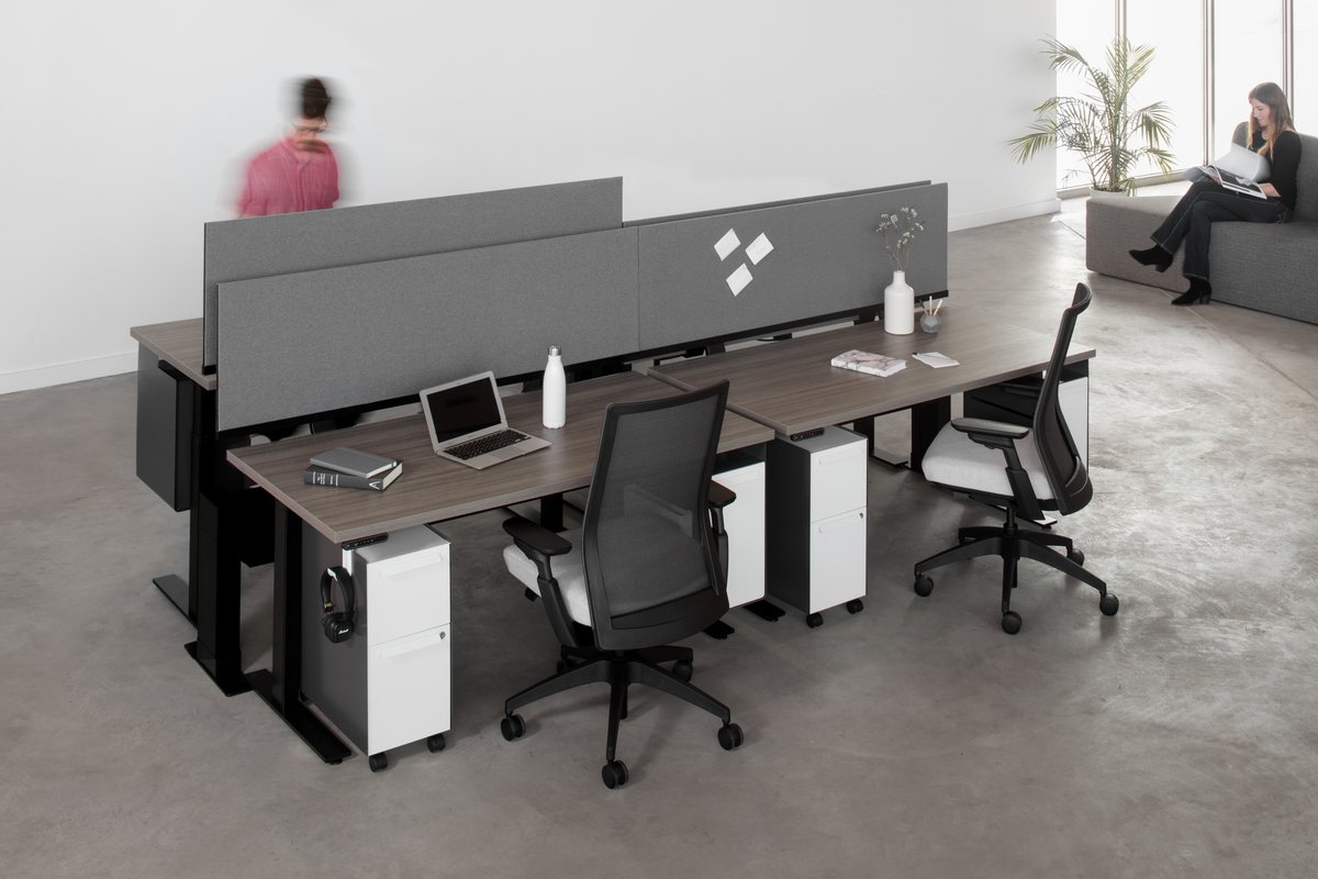 William Morris tweet media