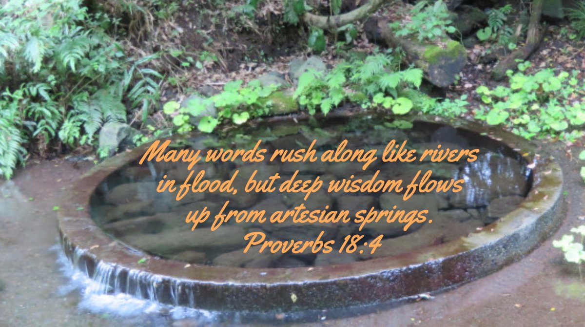 preacherlanny's tweet photo. #POTD Proverbs 18:4
Don't get swept away by a lot of words. #calm #Wisdom https://t.co/8TBU9SjwU8