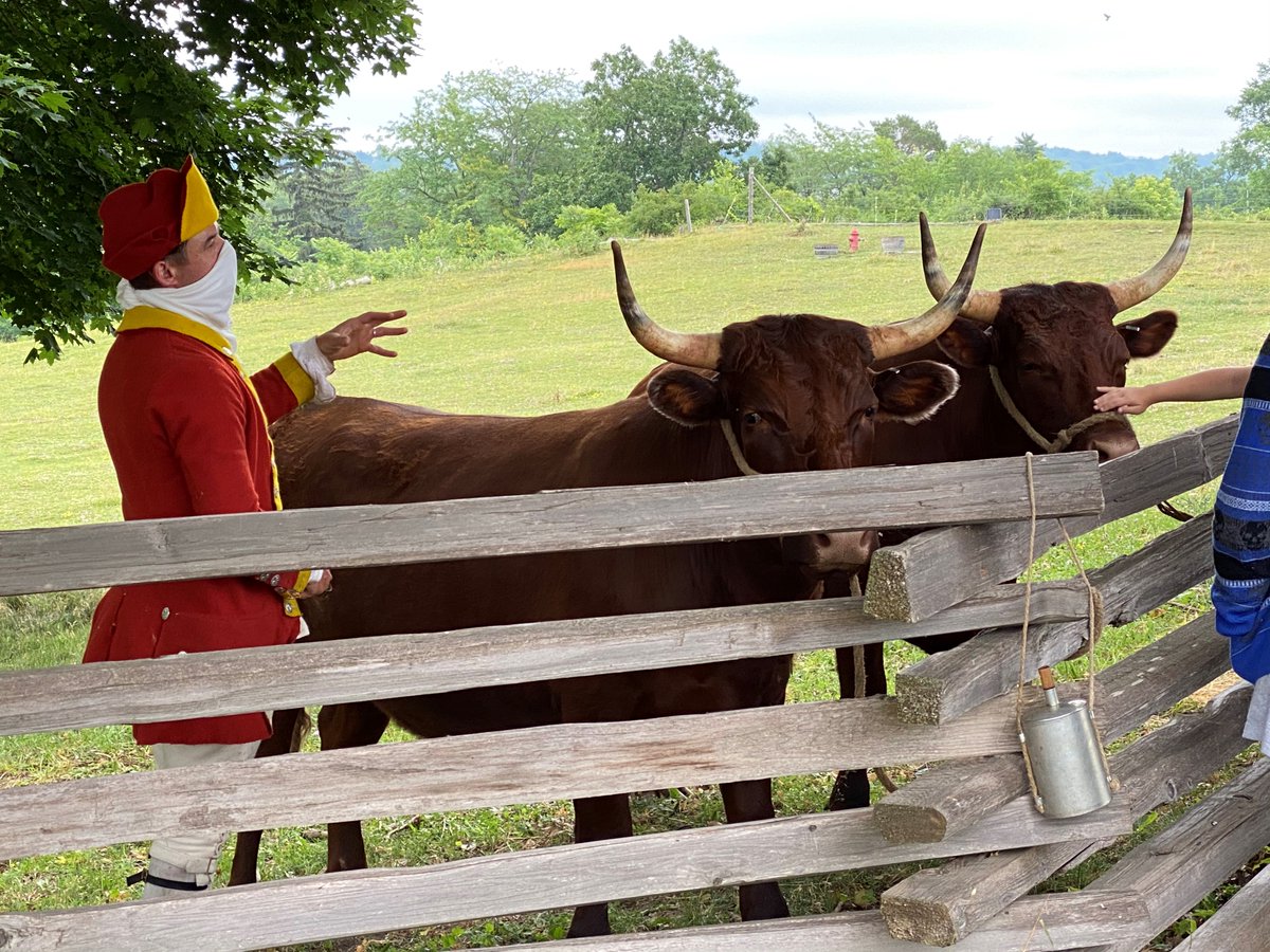 FortTiconderoga's tweet photo. Fort Ticonderoga will host a 2-day Homeschool Event September 10-11. 
New this year, join an expert guide on the Carillon Battlefield hiking trail to explore the vistas and earthen remains of the French &amp; Indian War and Revolutionary War battles. https://t.co/WrfenmcFmj https://t.co/39MAogL2ic