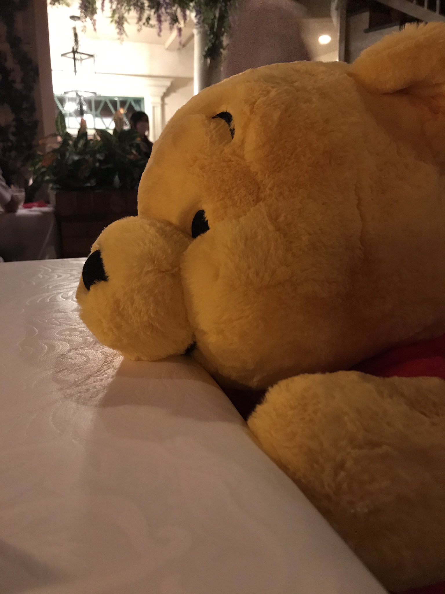 ぽて フルート吹き 私はディズニーリゾートで帰り際より早いタイミングでぬいぐるみを買って持ち歩く 人の気持ちがわからなかった だって ぬいぐるみはかさばるしアトラクションに乗るときに邪魔だ なんでわざわざそんな不自由なことを と軽蔑すらしてい
