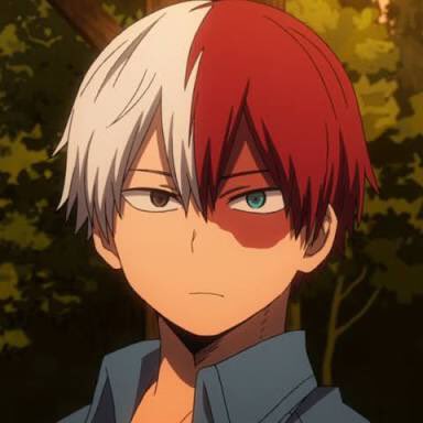 todoroki