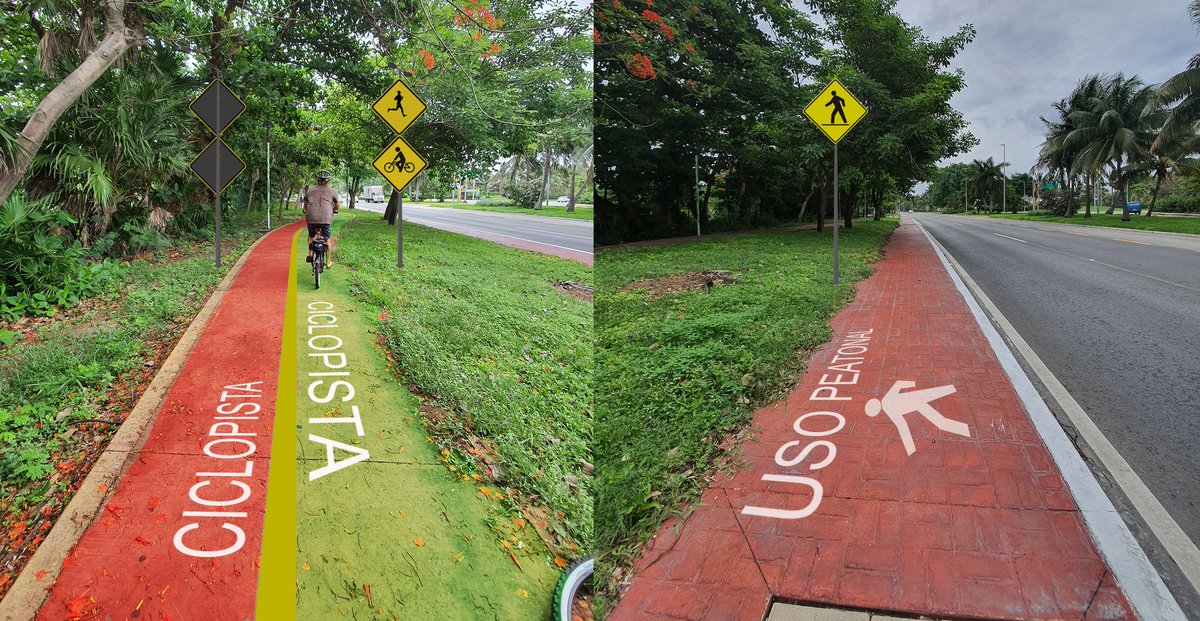 Starcprod's tweet photo. Solo es una idea pero ¿no sería maravilloso? Tal vez nuestros dirigentes no hacen ejercicio y por ello no notan la necesidad del mantenimiento y señalizacion de la ciclopista 🤔 @MovilidadCancun @imoveqroo @fonaturMX @turismoficial @turismo_BJ @maralezama https://t.co/KbpZd1tkzW
