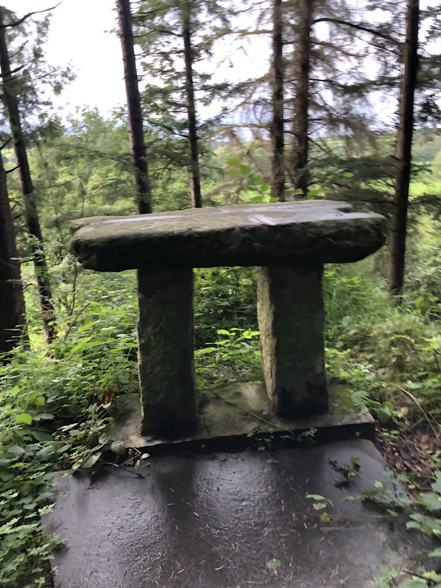 noreen_orr's tweet photo. #RiverBarrow #ClashgannyLoopWslk #Lockhouse #MassRock https://t.co/MBuXEWN9aA