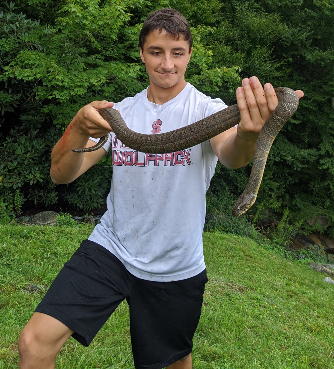 Ben Zino tweet media