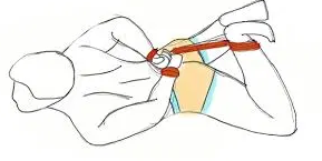 so i actually googled what hogtying is and 