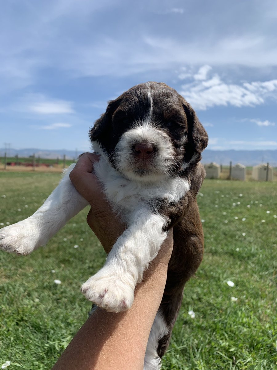 WonderTailsTransport tweet media