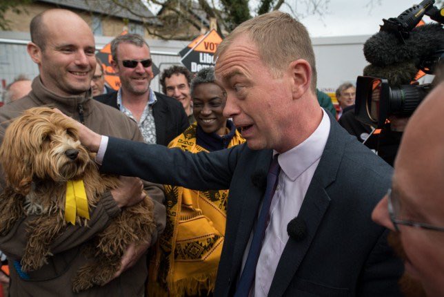 LibDemDog1's tweet photo. https://t.co/GHdjOYi1mr