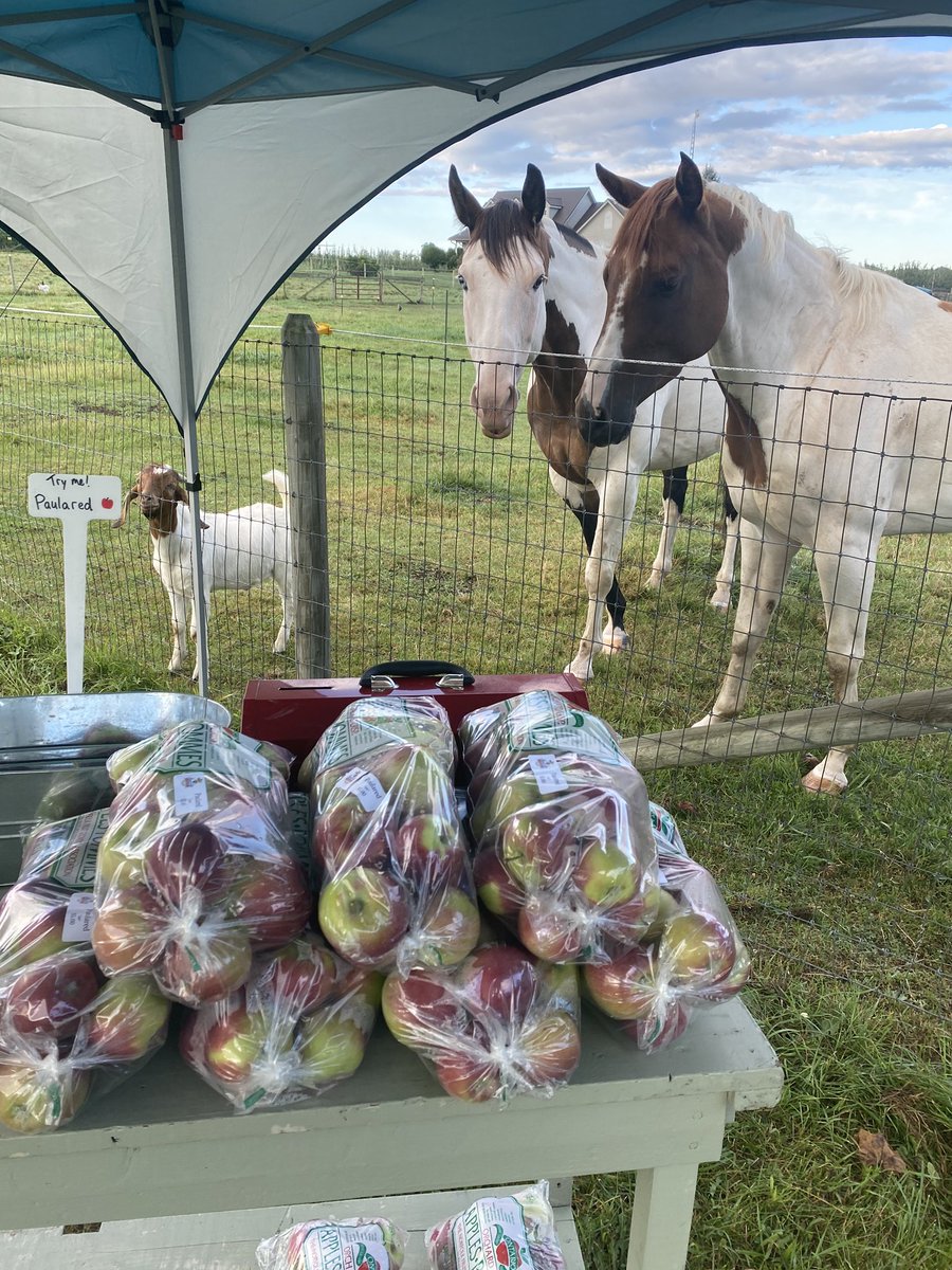 Suncrest Orchards tweet media