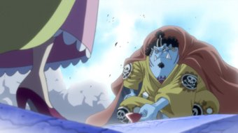 "Sakazuki" est le nom d'une cérémonie Yakuza que l'on peut retrouver à plusieurs reprises dans One Piece avec la Flotte ou encore Linlin brisant "l'Oyako Sakazuki" de Jinbe symbolisant la fin de leur relation "familliale".