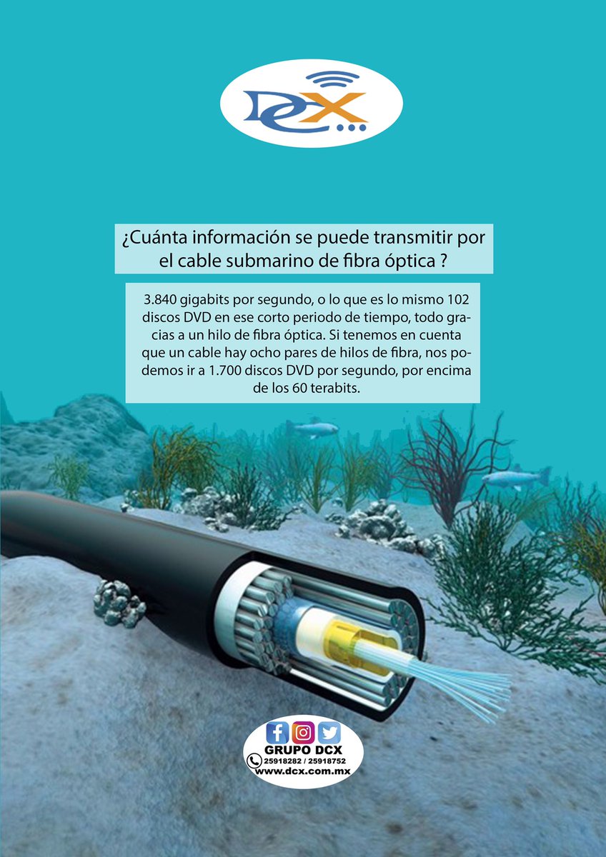 DcxGrupo's tweet image. ¿Sabes cuanta información se puede transmitir por un cable submarino de fibra óptica? 
Cableado estructurado y sus componentes
Grupo DCX (Soluciones en Telecomunicaciones) 📞2591-8282
dcx.com.mx
#cableadoestructurado #commscope #Thinkfiber #fibraoptica