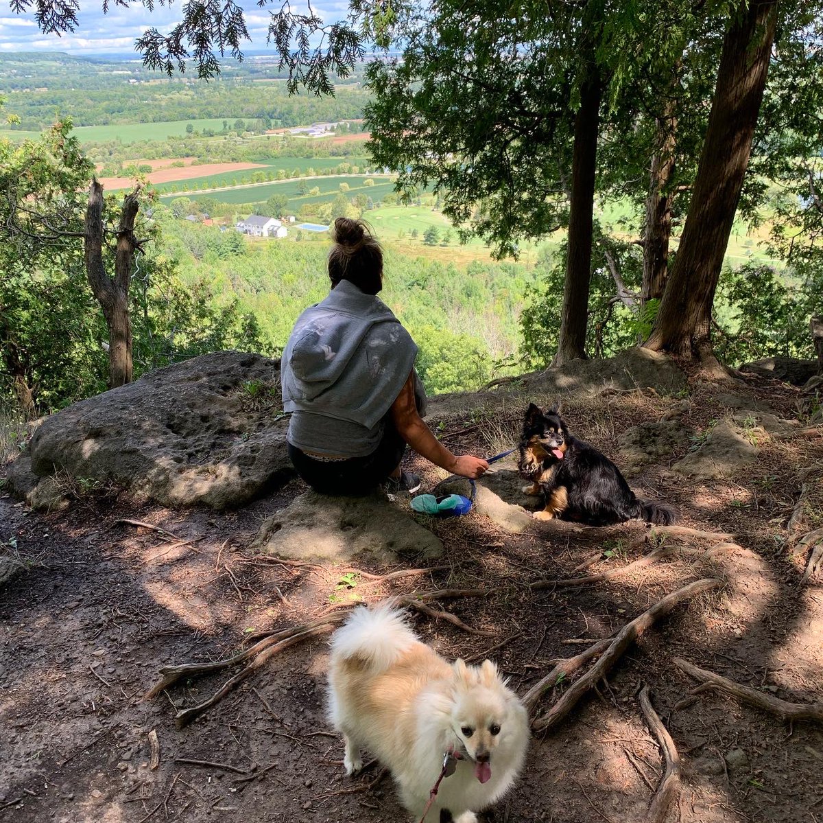 Whit413's tweet photo. Great walk at Mount Nemo. Spectacular views from Escarpment. https://t.co/Wptn7H8vCW