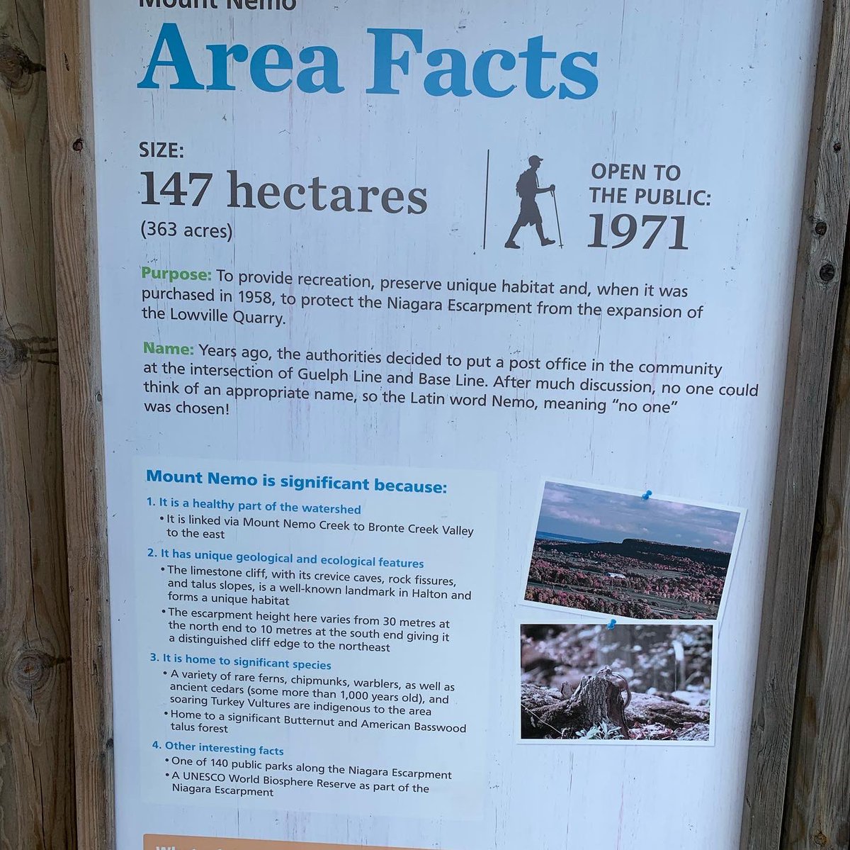 Whit413's tweet photo. Great walk at Mount Nemo. Spectacular views from Escarpment. https://t.co/Wptn7H8vCW