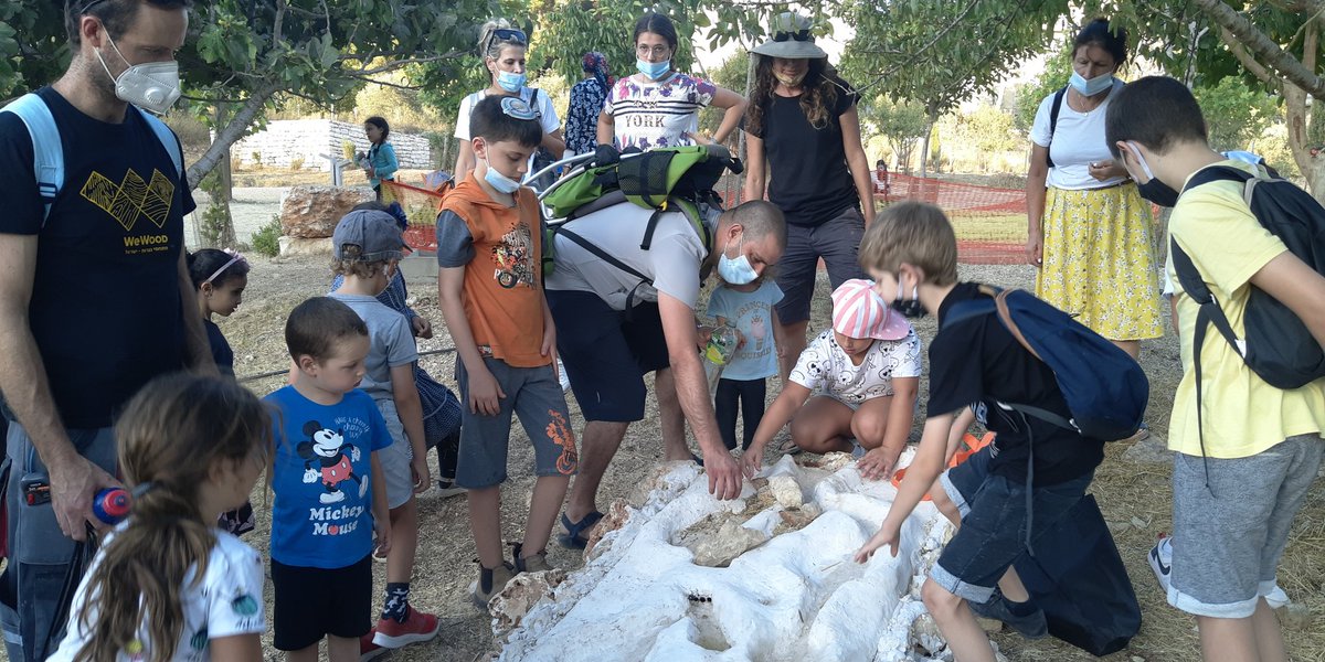פארק עמק הצבאים, בין הזמנים, אוגוסט, זמן קורונה! טבע עירוני בחזית...יעל המרמן מנהלת הפארק בפעולה! ריספקט