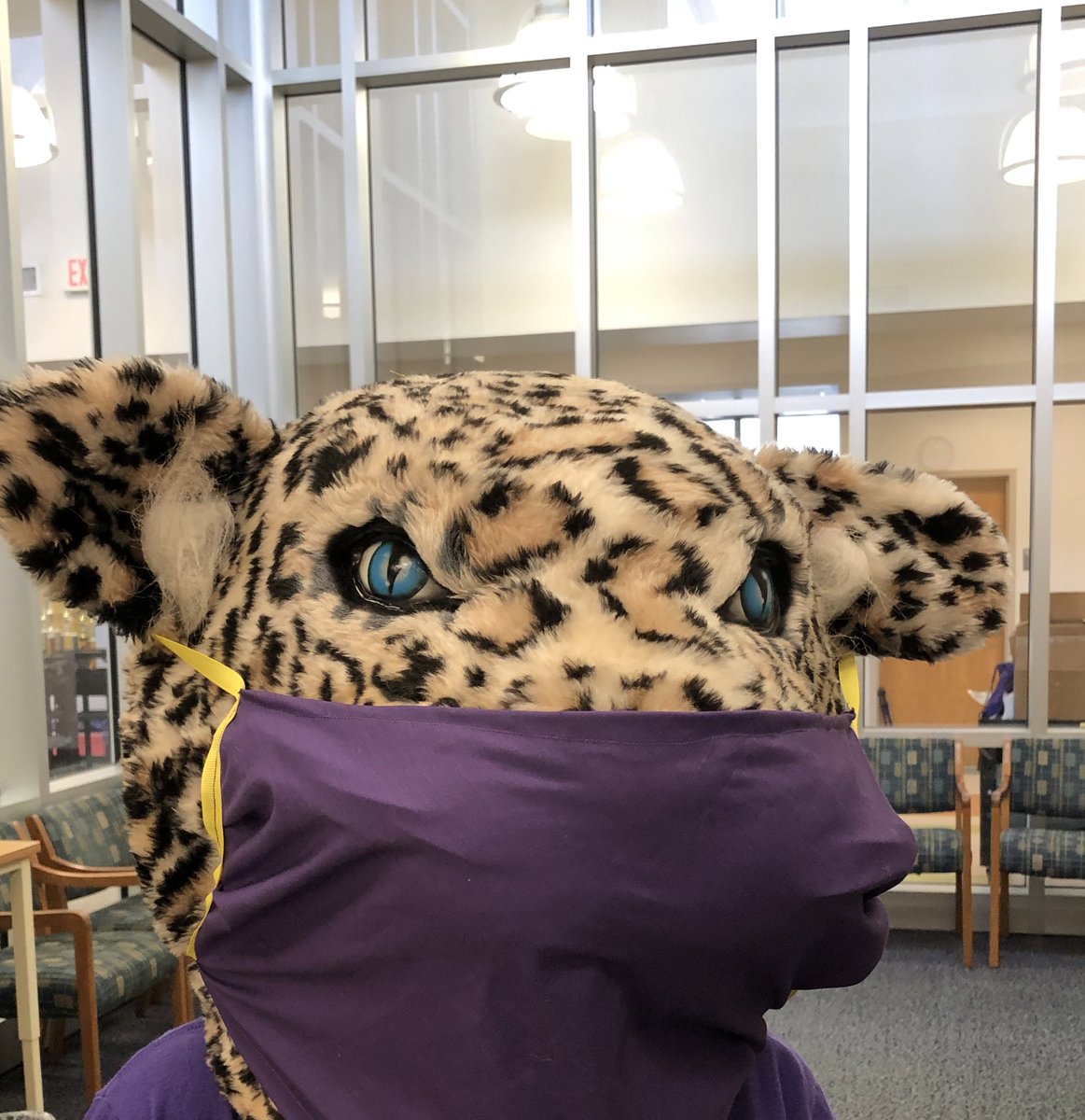 Mills Park Middle tweet media