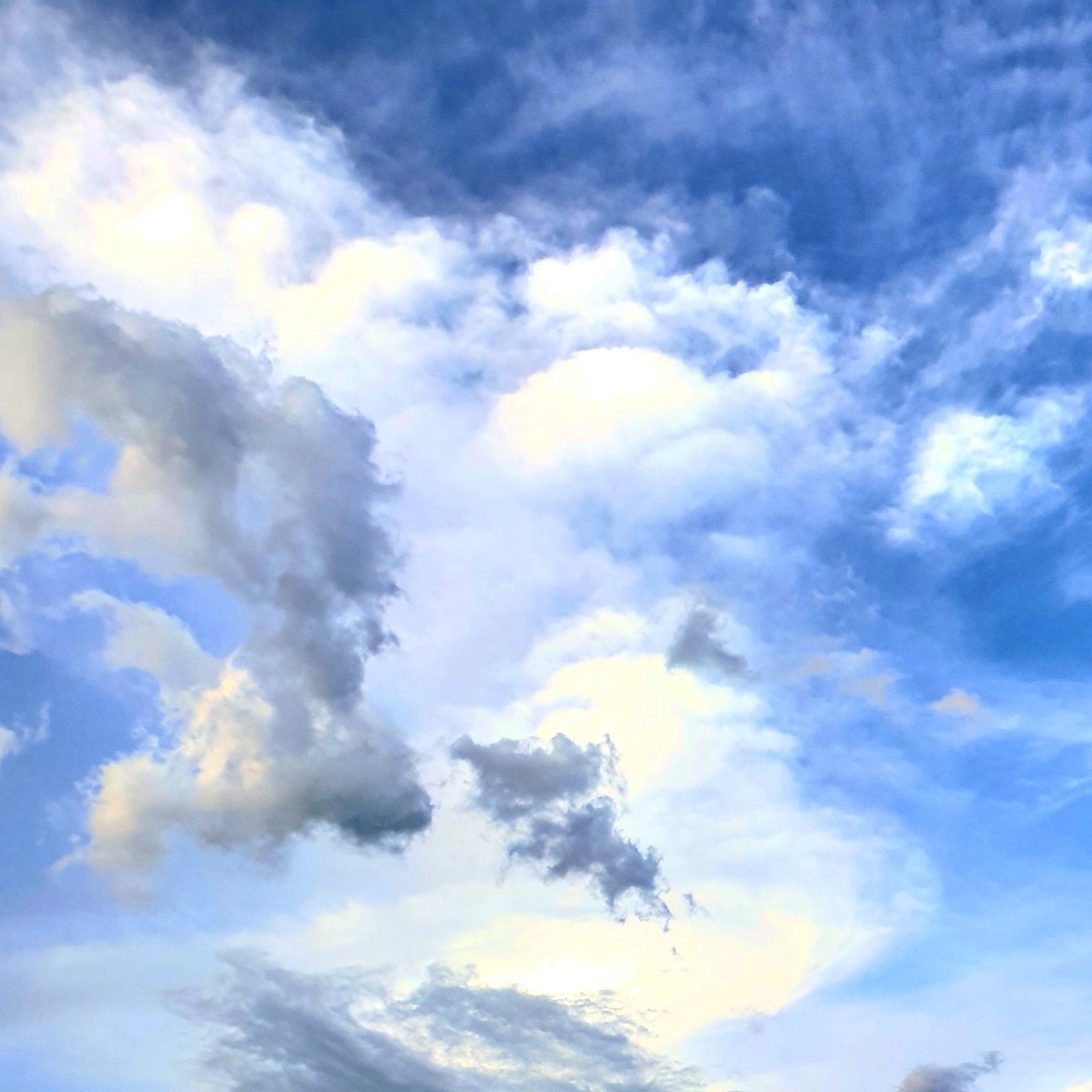 DColarullo's tweet image. #bluesky