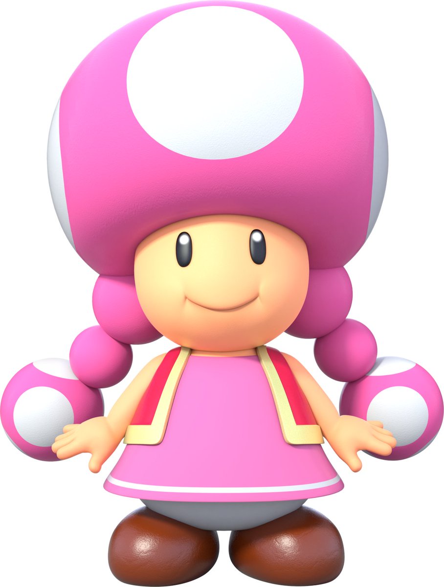 SMM2_bot's tweet photo. Toadette was supposed to be a playable character in Super Mario Maker 2, but was left out in favor of Toadette. https://t.co/limkYWrtSJ
