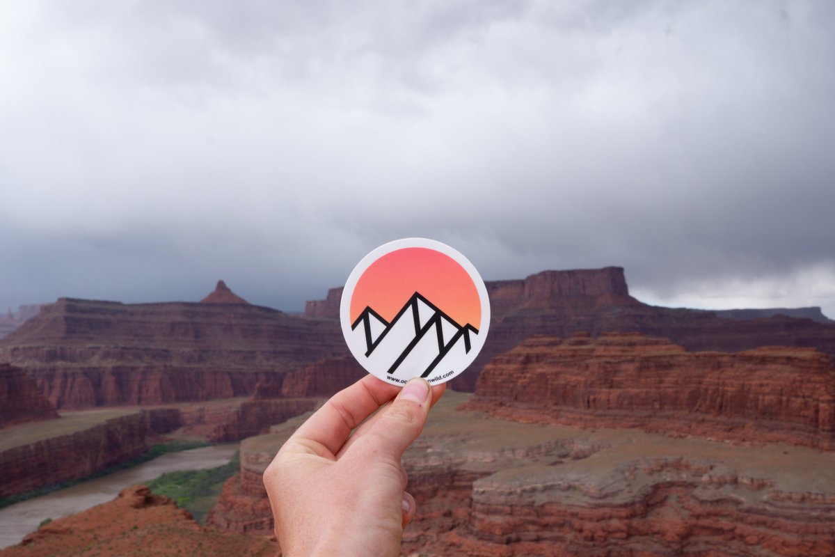 Occupation_Wild tweet media