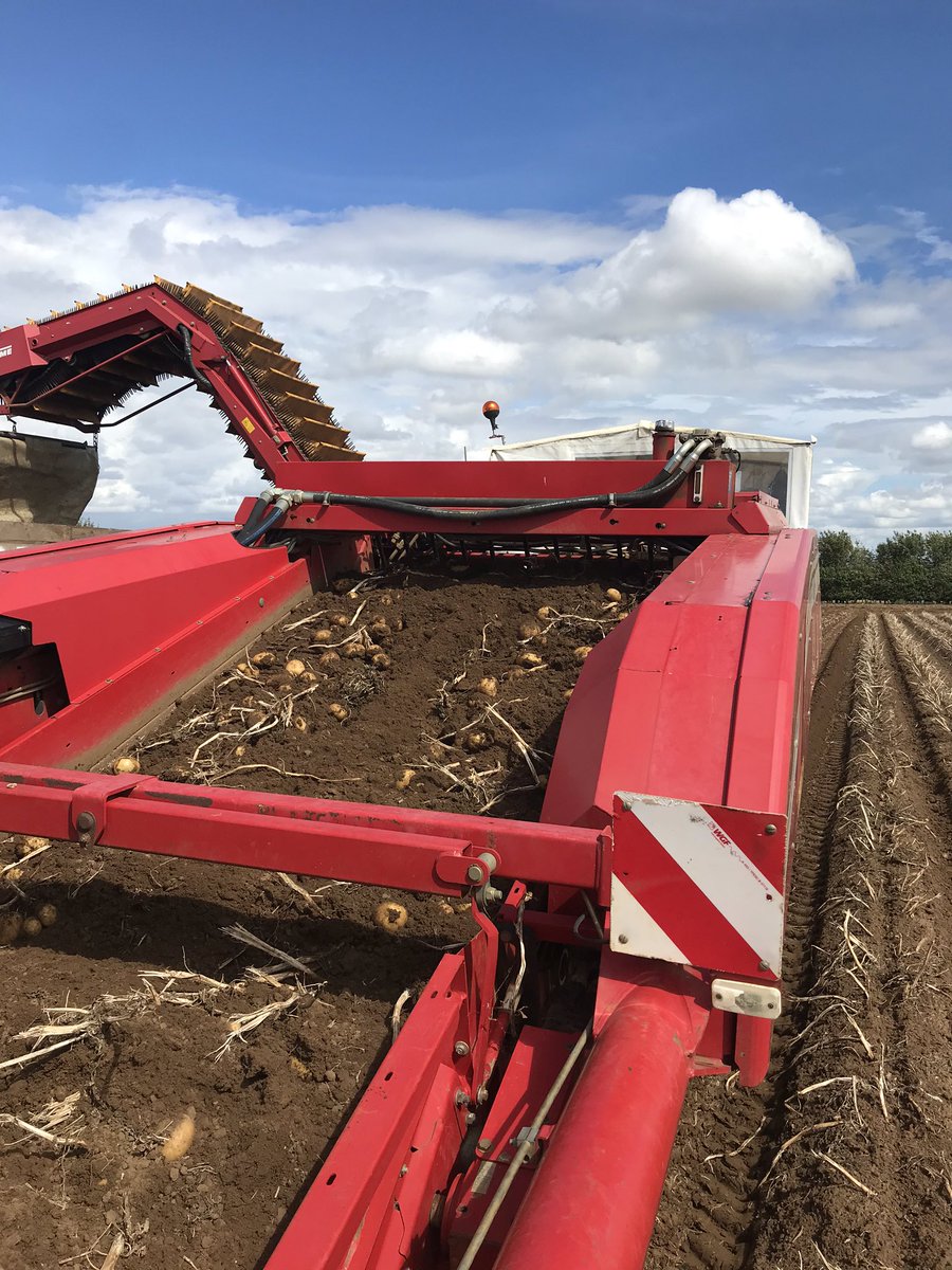 tcmallen's tweet image. Off we go! We have started the harvest of 2020 with a crop of Marfona grown under drip irrigation. Looking nice and bold! 💧🥔🥔🥔💧20mm of rain on Sunday has helped things nicely. @WrootWater @GrimmeUK