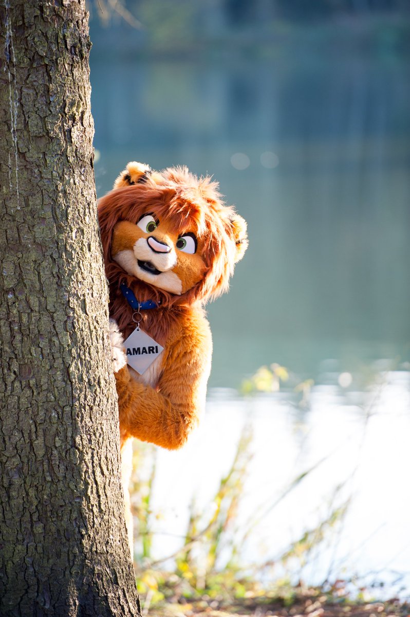 Tamari 🦁 tweet media