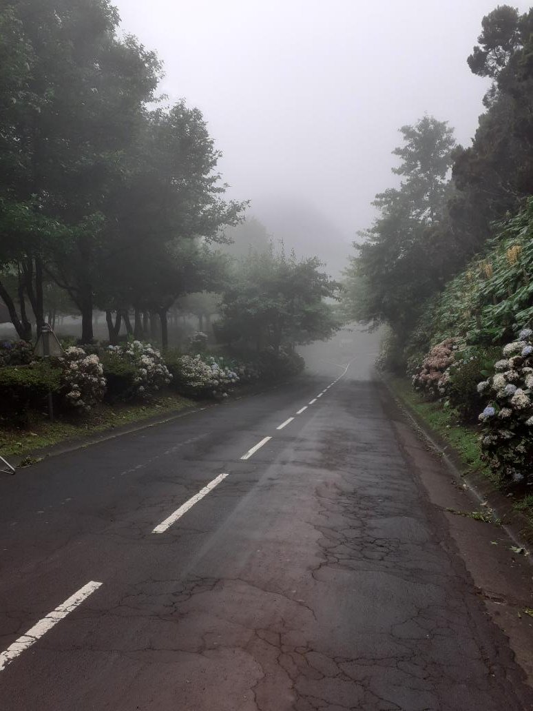 Bored by Lobo Antunes' book, I decide that bad weather is not an impediment for driving. I try to make it to the North East corner of São Miguel's island town, that is called "Nordeste" in the same vein I was saying of uncomplicated names, but it is too foggy to keep going.39/n – bei  Castelo Branco