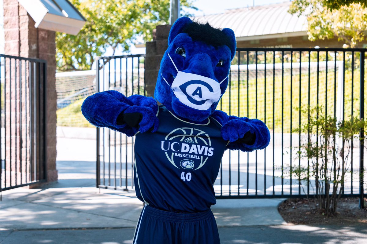 UC Davis on X: "Masking up with @ucdavisaggies pride. #GoAgs 😷  https://t.co/RsHOsjcLNf" / X