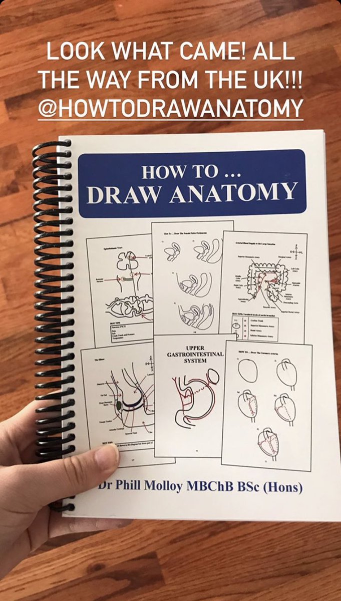AnatomyHow's tweet photo. It’s quite mental that the little book we wrote is now in over 10 countries... 🤭🤓 #Anatomy #Anatomist #meded #drawing #anatomytips #anatomyhelp #LearnAnatomy #biology #medicine #nurse #doctor #medicalstudent #medicalschool #schoolsreopening https://t.co/ntrVOIXNHk