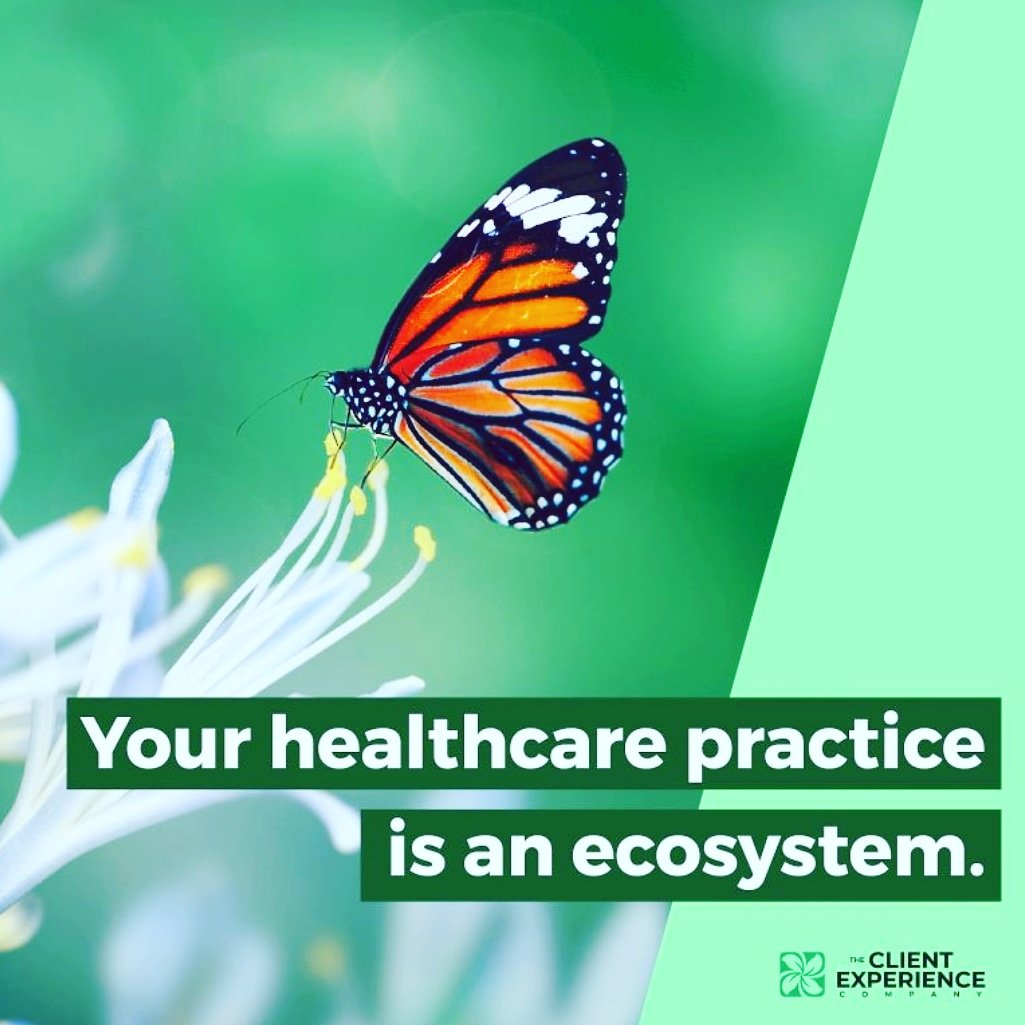 Jerry_DurhamPT's tweet photo. LOVE THIS BLOG....

best description of HOW to create Patient Success and then do it over and over again...

Help more people, more often...

.... the path to Business success

Cheers

#clexco
#ptexp
#patientLifecycle

https://t.co/t51Lgdwbqn https://t.co/b7t5Wpig4e