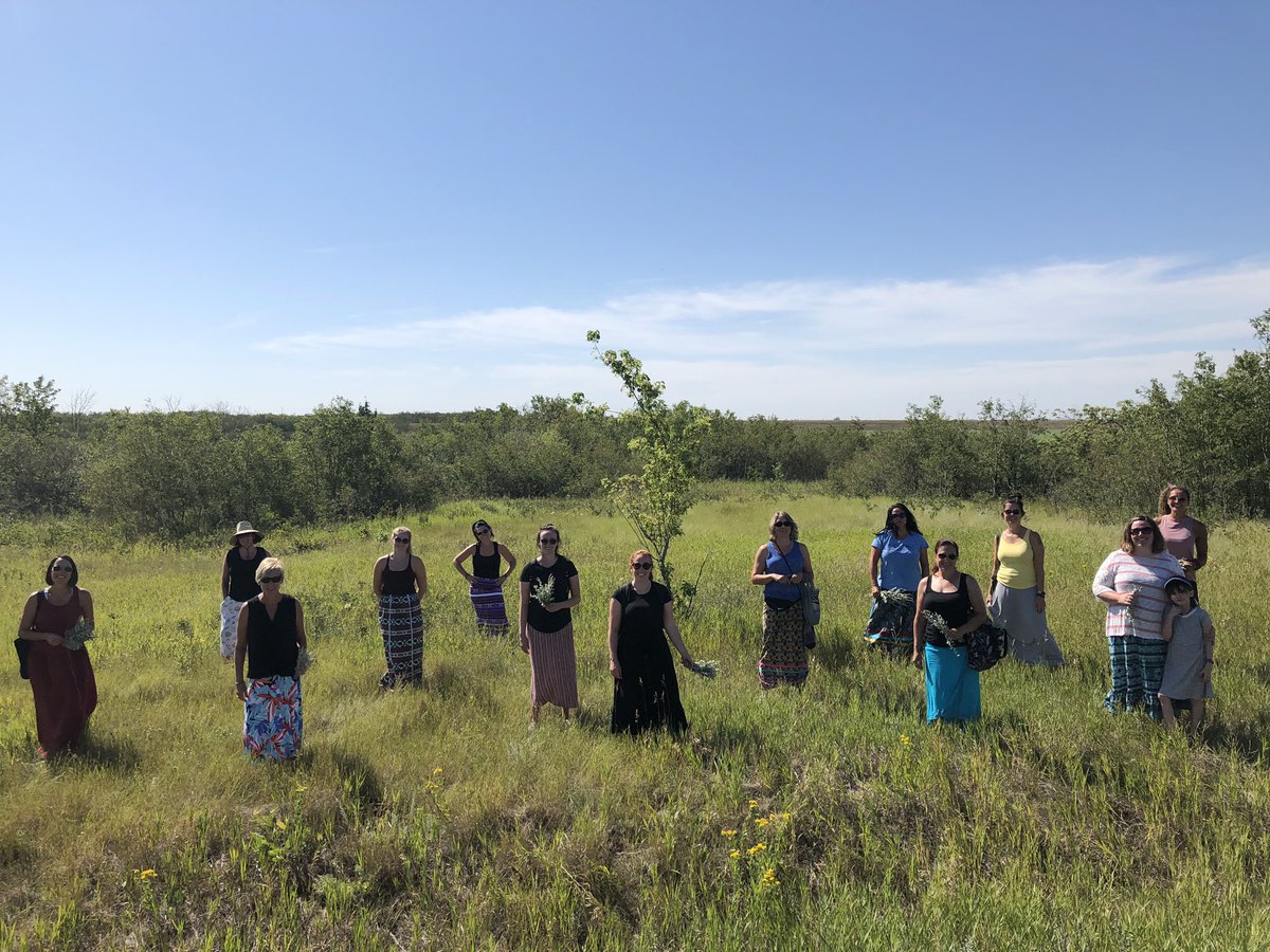 It was a hot day for picking sage, but it was great to see all the educators today leaning the indigenous land based teachings. We did our best at social distancing. kinanaskomitinawaw <a href="/RegPublicSchool/">Regina Public Schools</a>